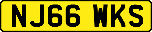 NJ66WKS