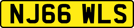 NJ66WLS