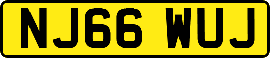 NJ66WUJ