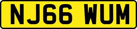 NJ66WUM