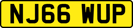 NJ66WUP