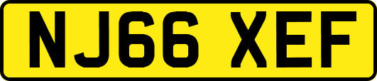 NJ66XEF