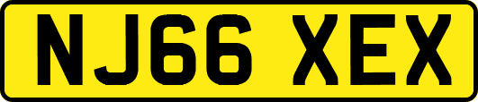 NJ66XEX