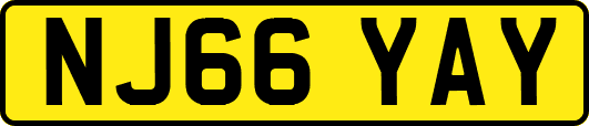 NJ66YAY