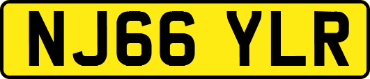 NJ66YLR