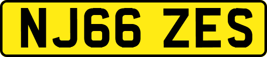 NJ66ZES