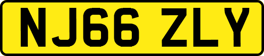 NJ66ZLY