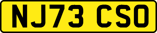 NJ73CSO