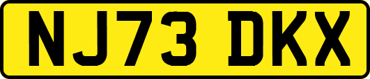 NJ73DKX