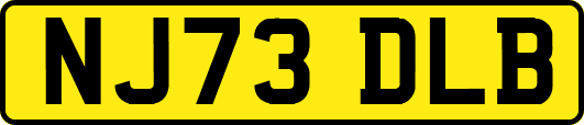 NJ73DLB