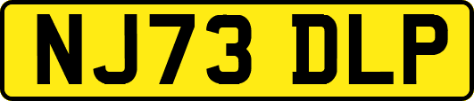 NJ73DLP