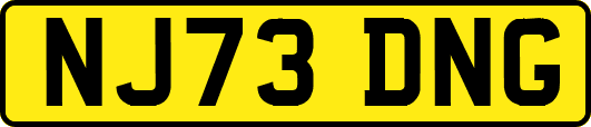 NJ73DNG