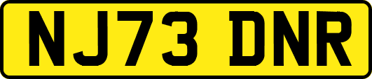 NJ73DNR