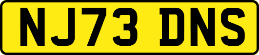 NJ73DNS