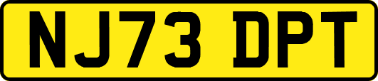NJ73DPT