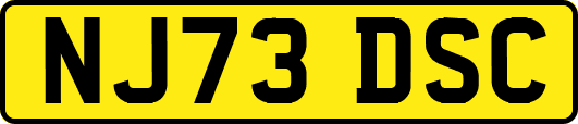 NJ73DSC
