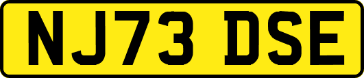 NJ73DSE