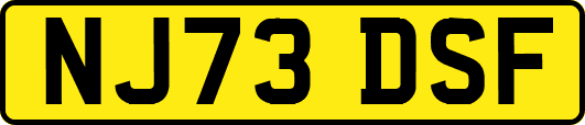 NJ73DSF