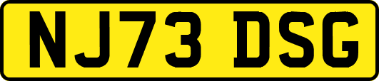 NJ73DSG
