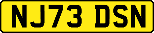 NJ73DSN