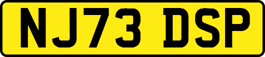 NJ73DSP