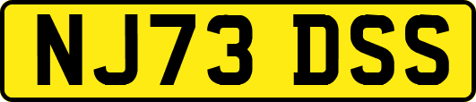 NJ73DSS