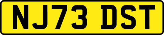 NJ73DST