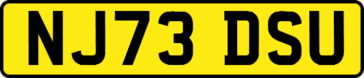NJ73DSU