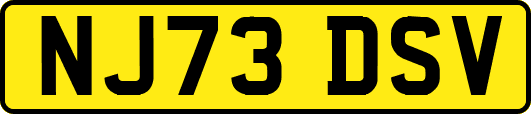 NJ73DSV