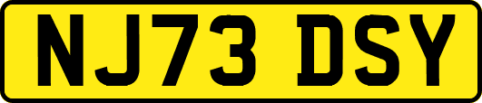 NJ73DSY