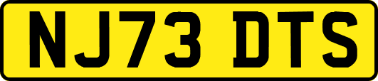 NJ73DTS