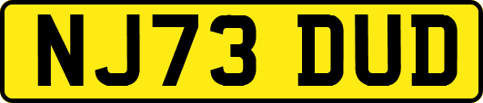 NJ73DUD