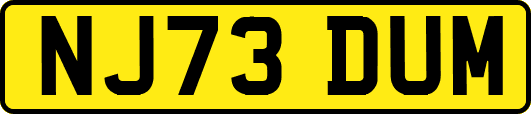 NJ73DUM