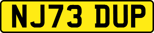 NJ73DUP