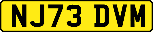 NJ73DVM