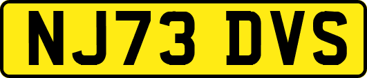NJ73DVS