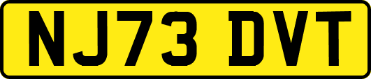 NJ73DVT