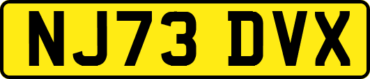 NJ73DVX