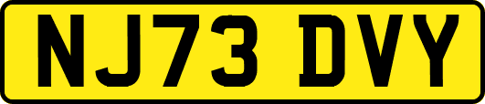 NJ73DVY