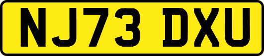 NJ73DXU