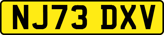 NJ73DXV