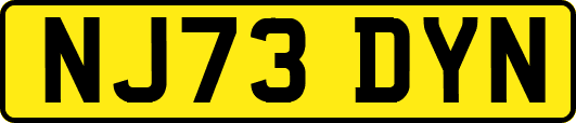 NJ73DYN