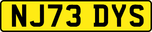 NJ73DYS