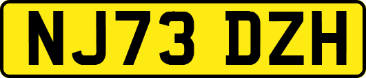 NJ73DZH