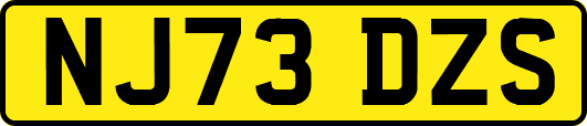 NJ73DZS