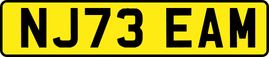 NJ73EAM