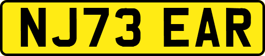 NJ73EAR