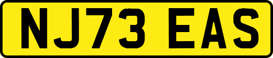 NJ73EAS