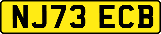 NJ73ECB