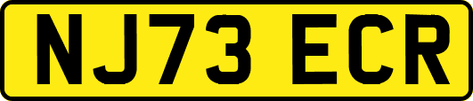 NJ73ECR